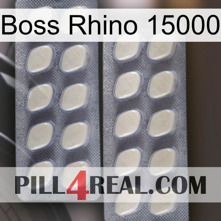 Boss Rhino 15000 07